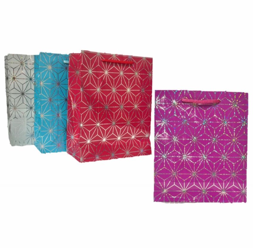 @(DK-714)Bolsa regalo tornasol pequeña 18x21 paquete X12 (SLT2024)